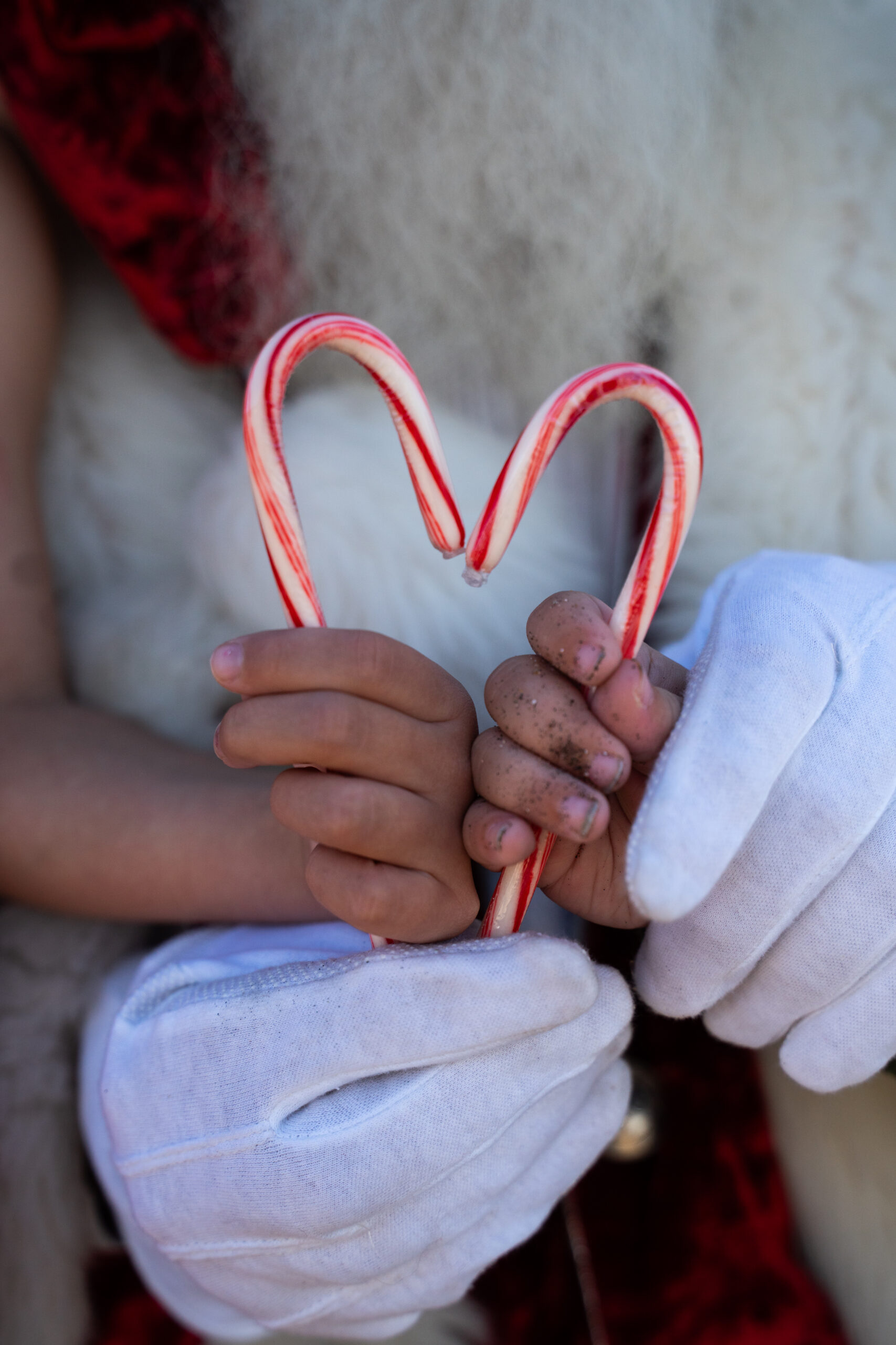 SoCalSantaPhotos25