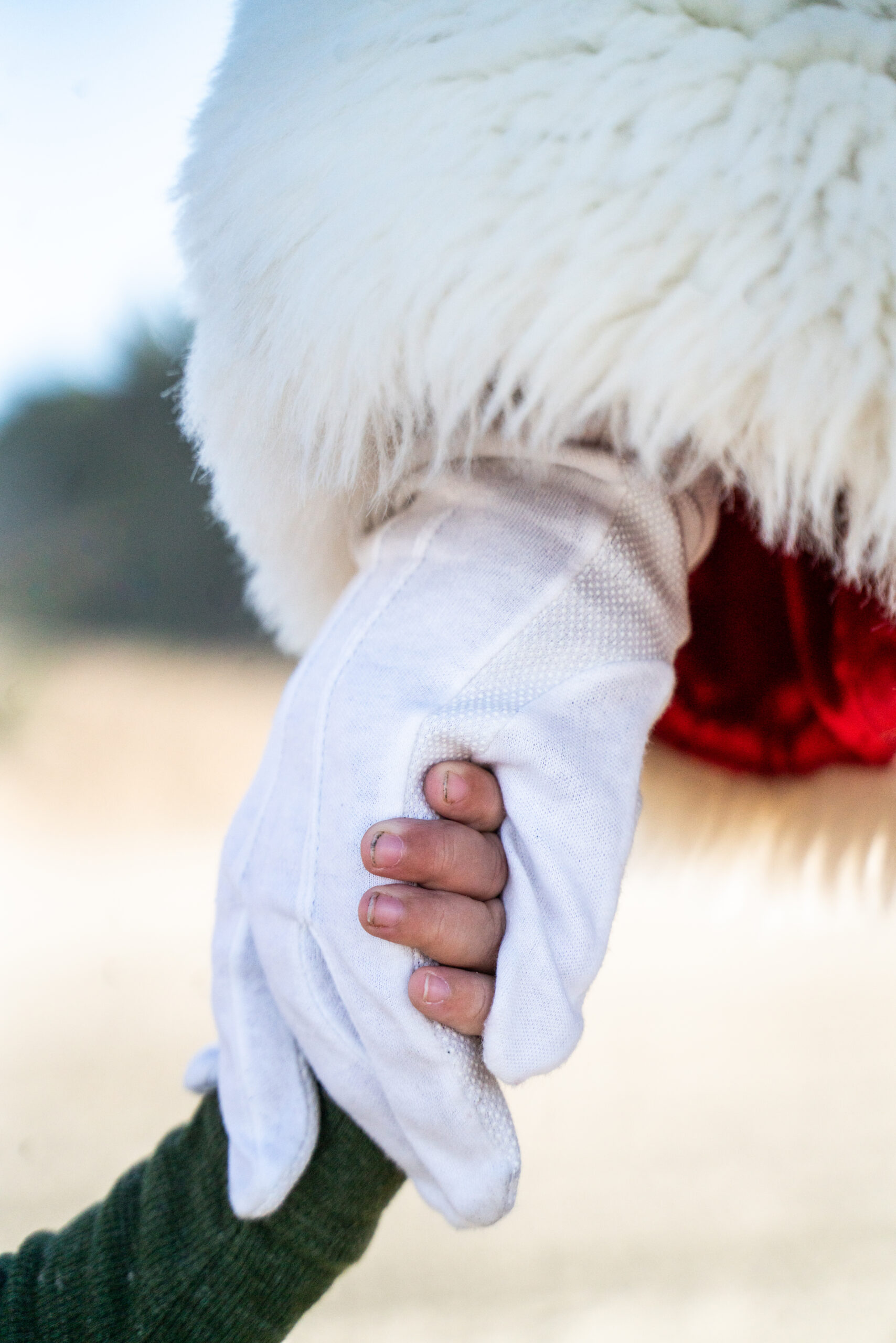 SoCalSantaPhotos58